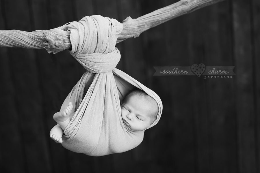 modern newborn photography in knoxville twins