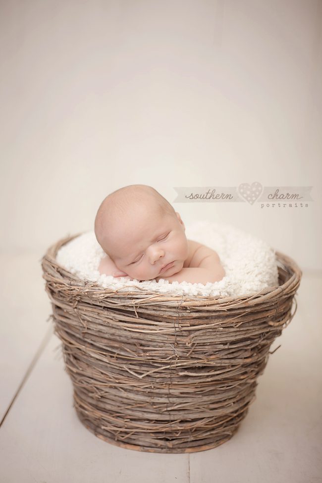knoxville tn newborn photographer