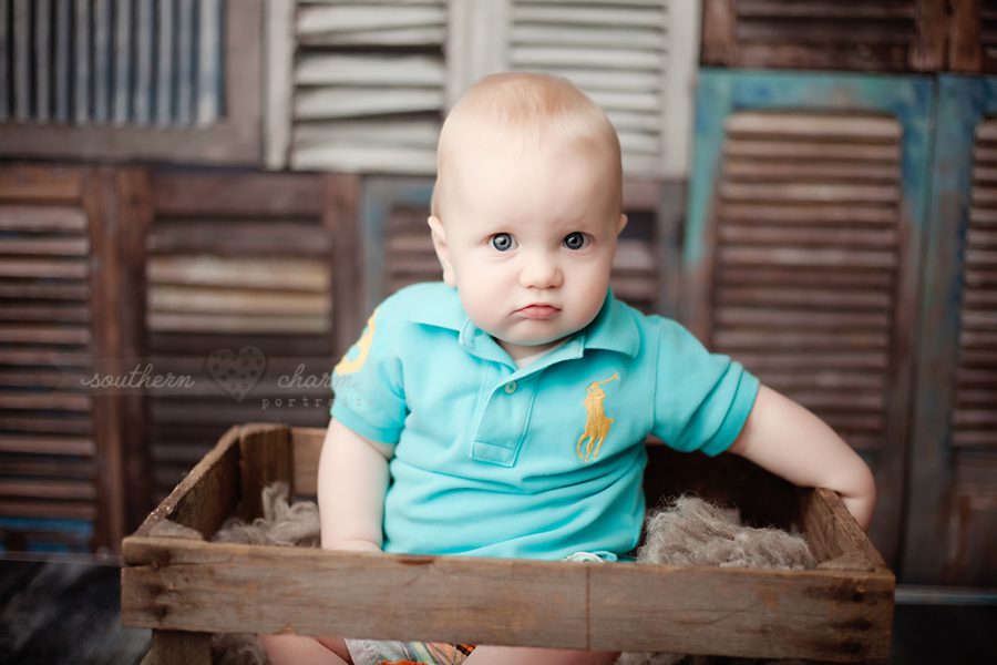 baby photographers in knoxville