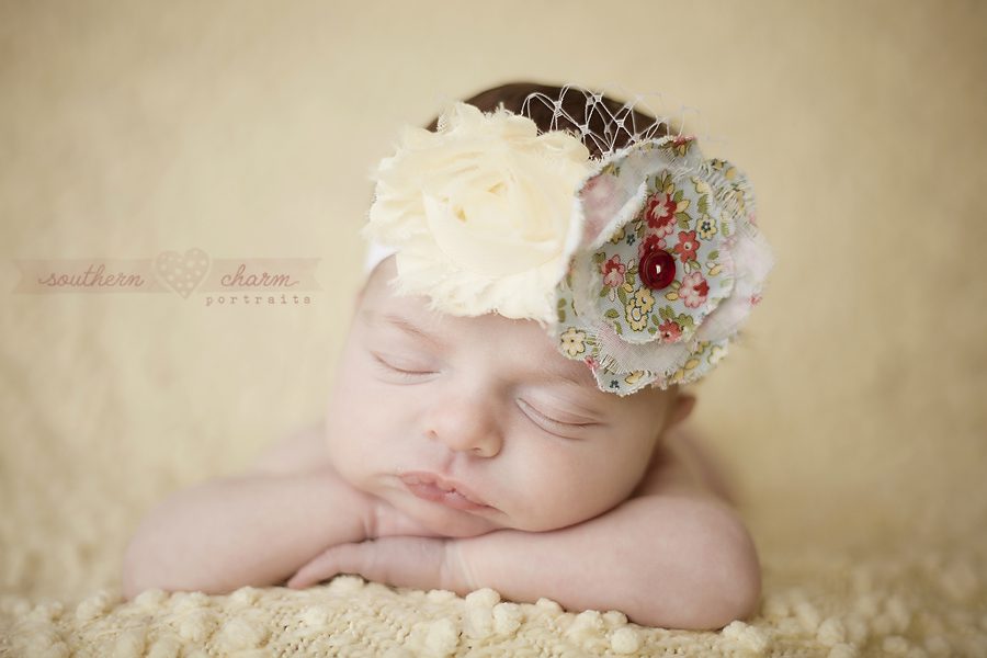 tn newborn photography