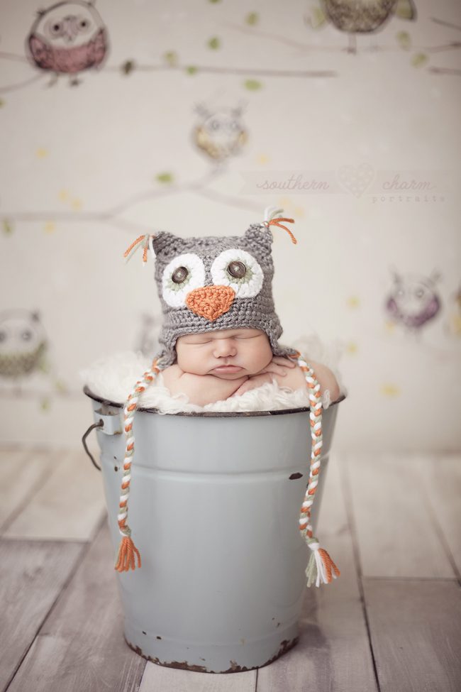 knoxville tn newborn photographer