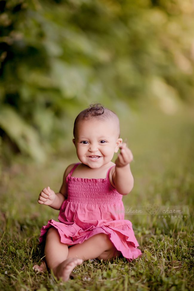 knoxville premier baby photography studio
