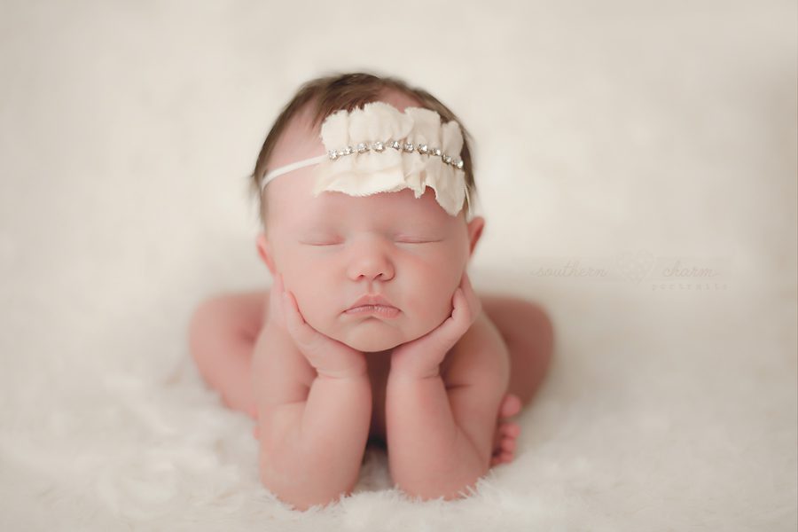maternity and newborn photographer in knoxville, tn