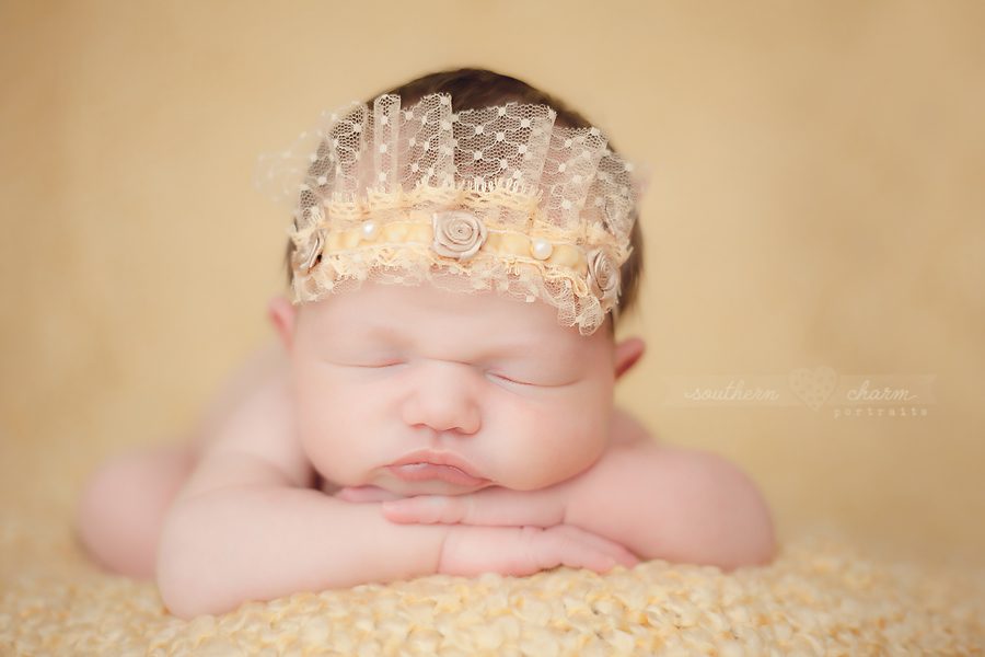 knoxville, tn newborn photography studio