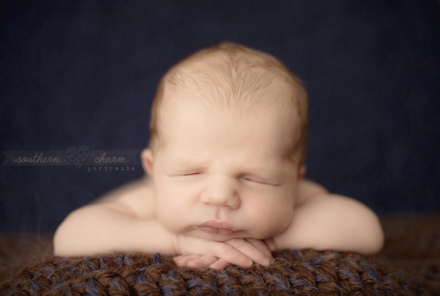 knoxville premier baby photography studio