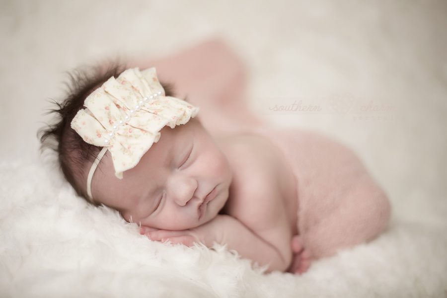 knoxville newborn photographer