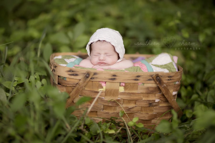 knoxville premier baby photography studio