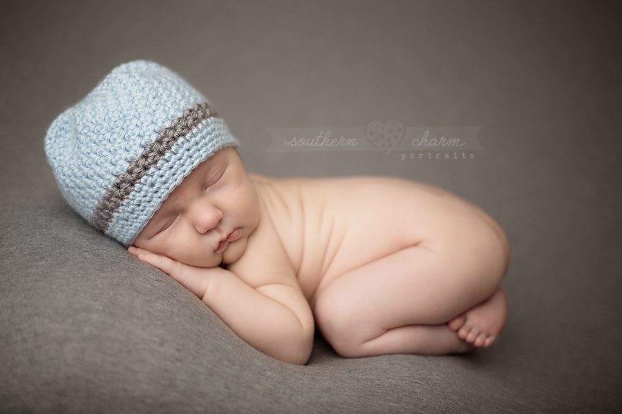 baby portraits in knoxville tn
