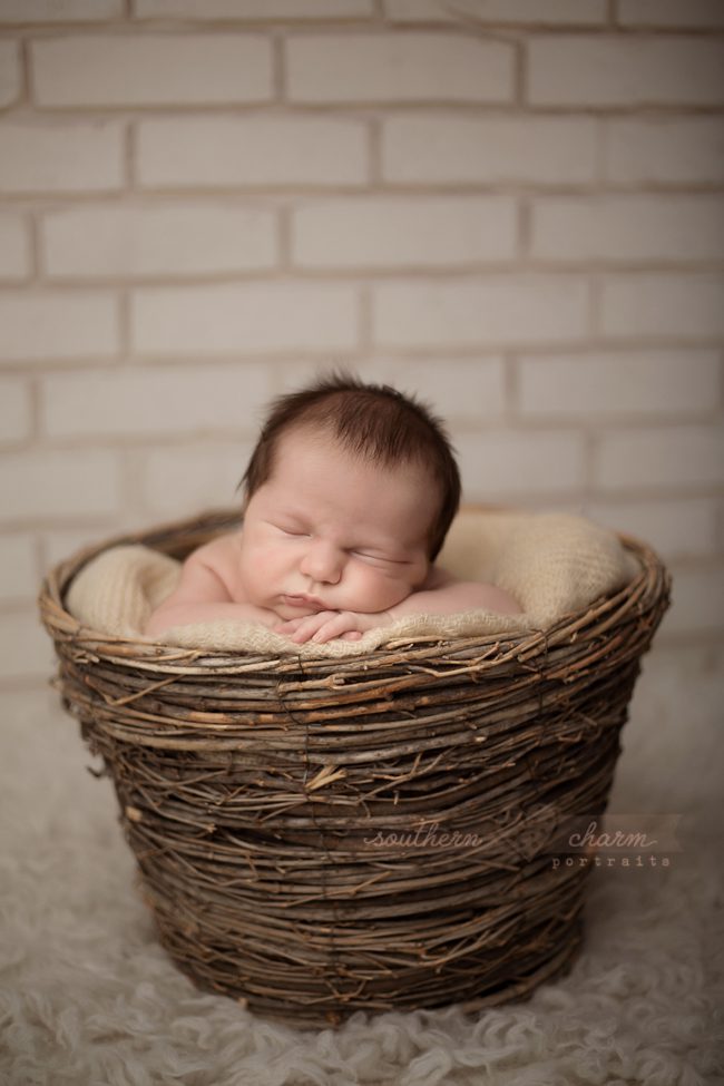 knoxville tn portraits for babies