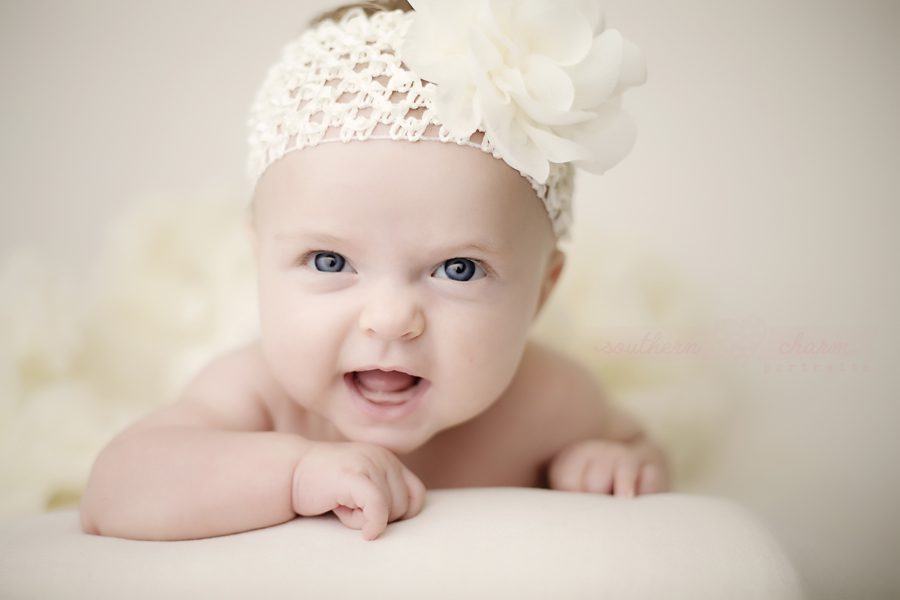 knoxville premier baby photography studio