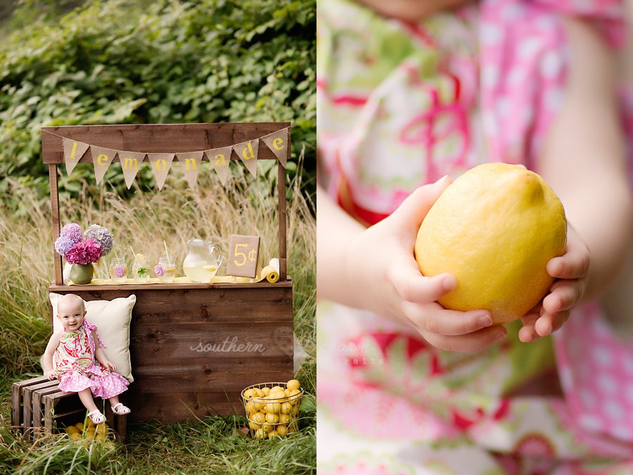 baby portraits in knoxville tn