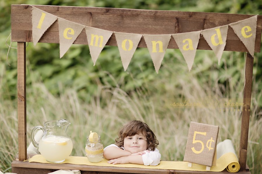 knoxville premier baby photography studio