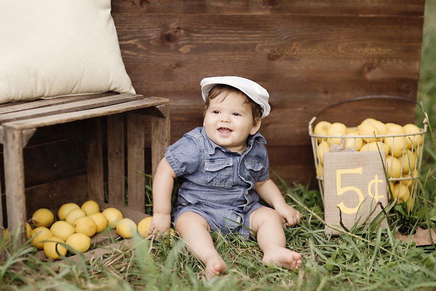 knoxville premier baby photography studio