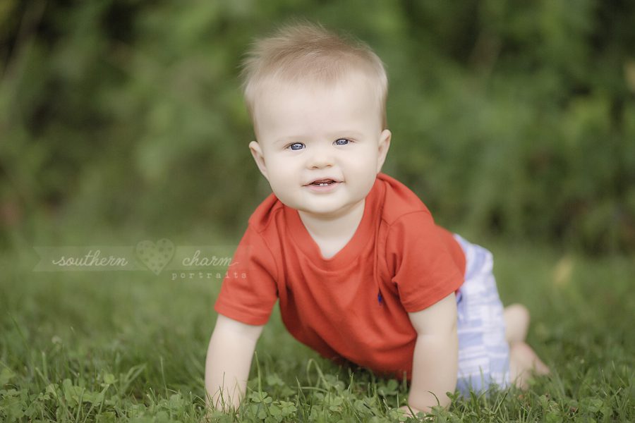 baby photographers in knoxville