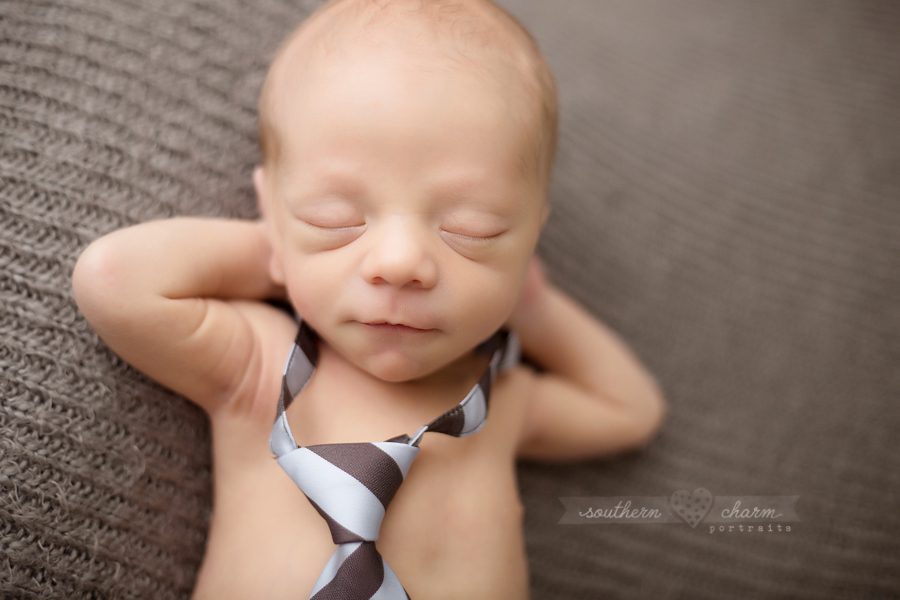 maternity and newborn photographer in knoxville, tn