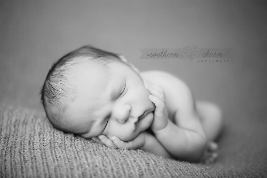 maternity and newborn photographer in knoxville, tn