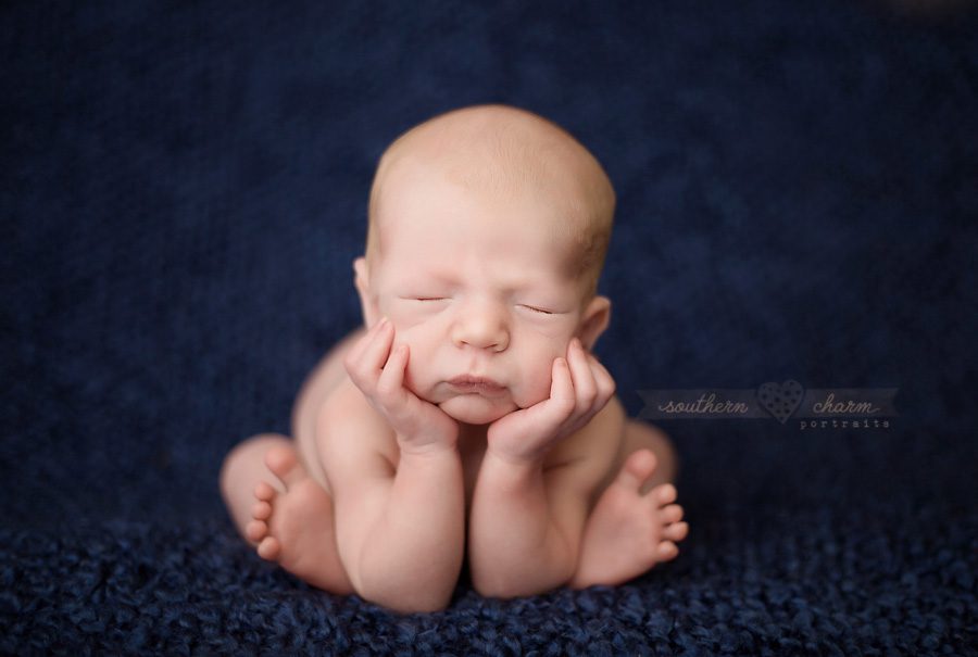modern newborn photography in knoxville twins