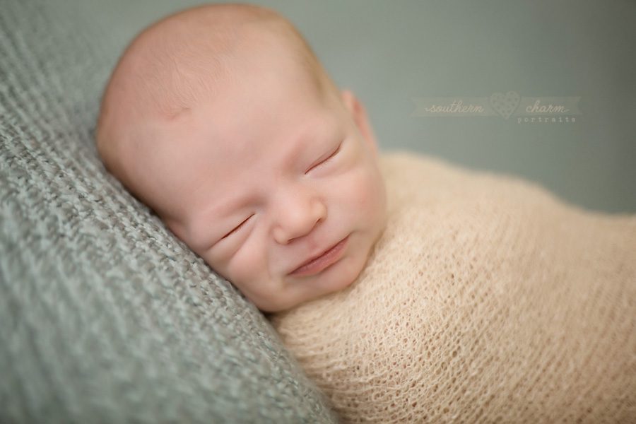 tn newborn photography