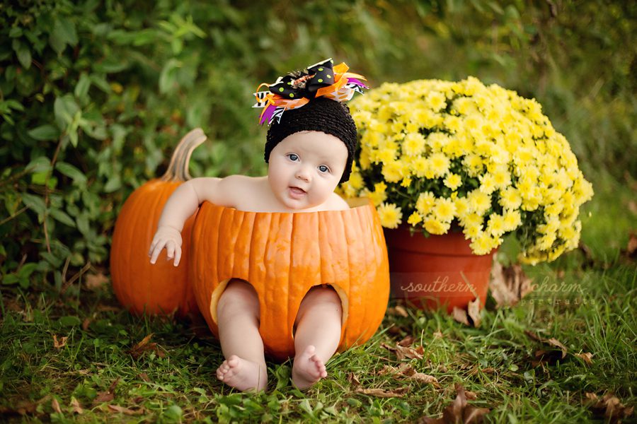 knoxville premier baby photography studio