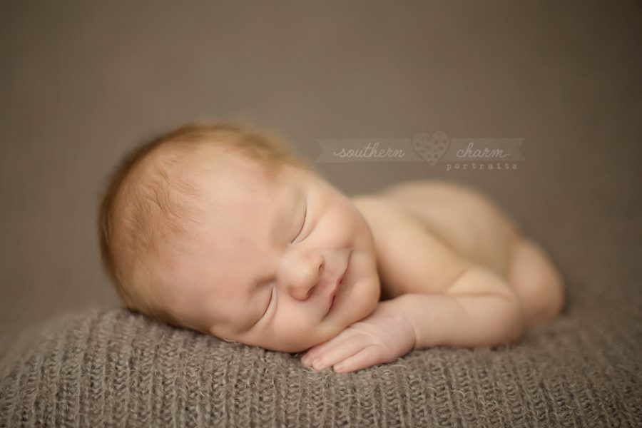 knoxville premier baby photography studio