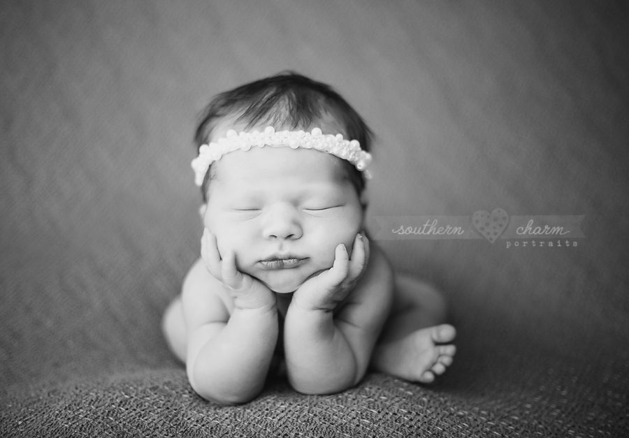 modern newborn photography in knoxville twins