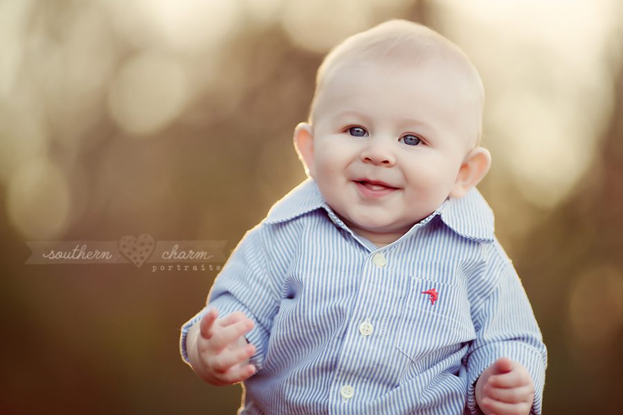 knoxville premier baby photography studio