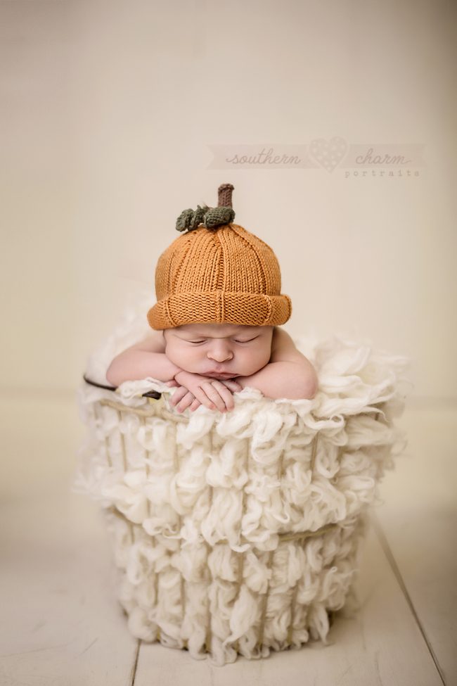 Knoxville's best photography studio