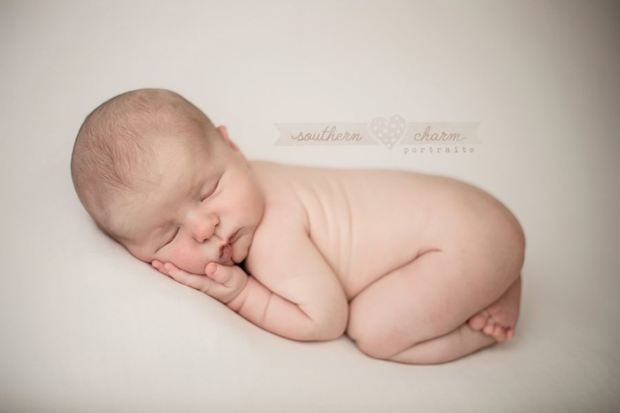 knoxville premier baby photography studio