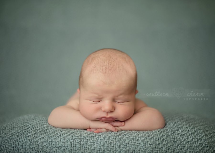 knoxville premier baby photography studio