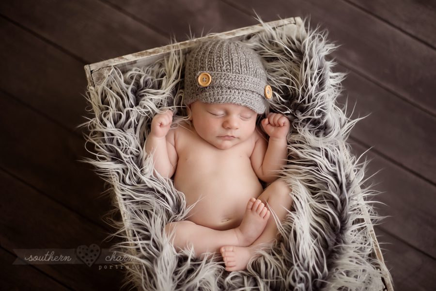 knoxville best photographer