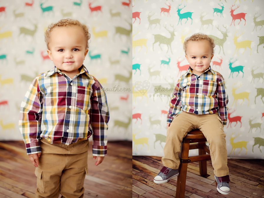knoxville premier baby photography studio
