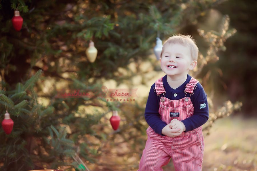 baby portraits in knoxville tn