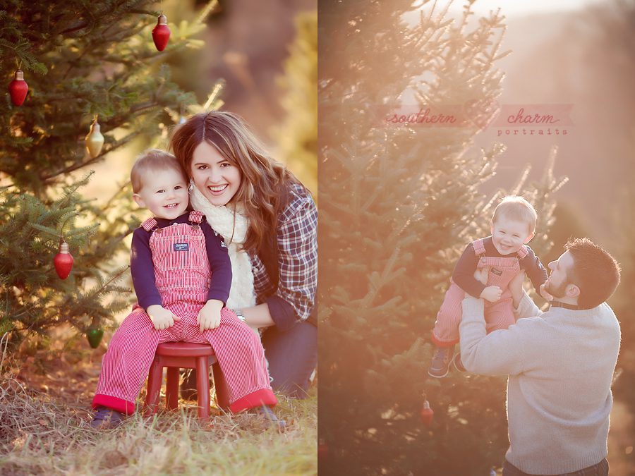 tennessee baby photographers