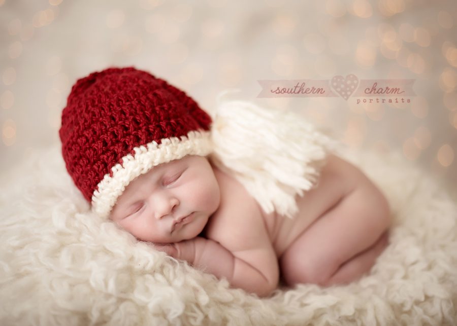 modern newborn photography in knoxville twins