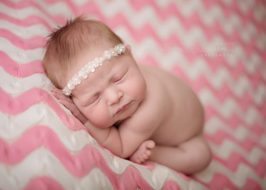 maternity and newborn photographer in knoxville, tn