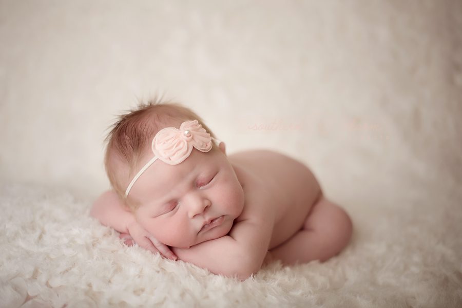 tn newborn photography
