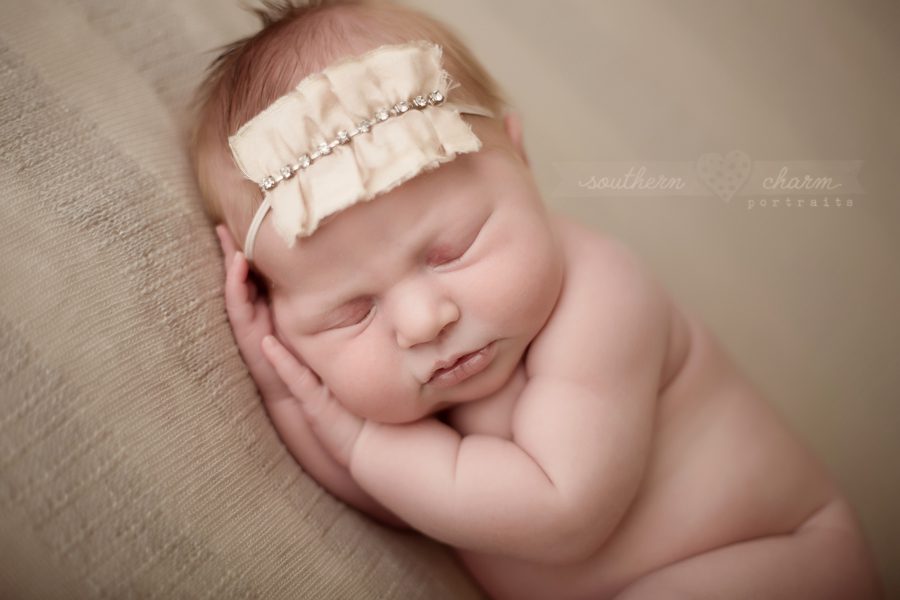 knoxville newborn photographer