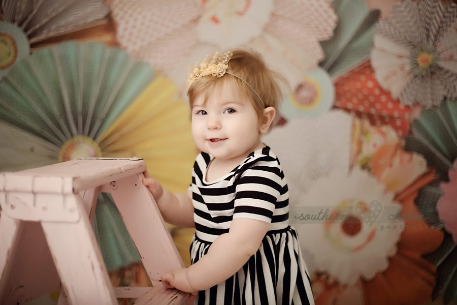 knoxville premier baby photography studio