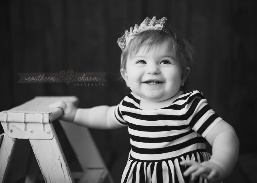 knoxville best photographer