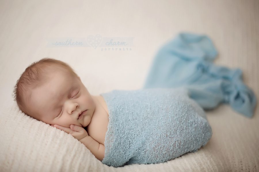 modern newborn photography in knoxville twins