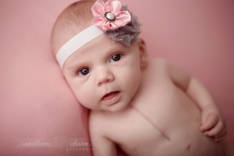 knoxville tn newborn photography