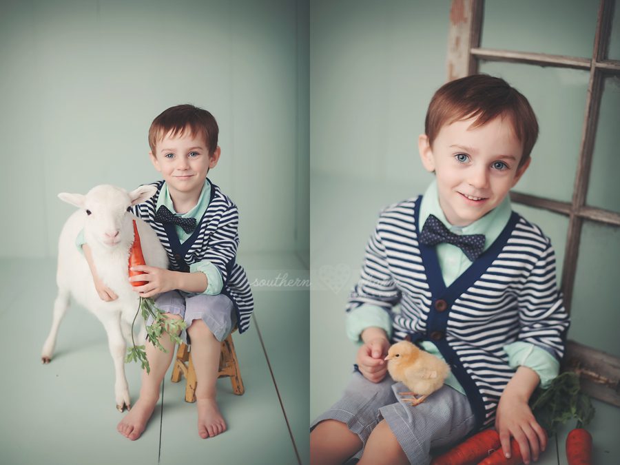 knoxville tn baby photographer