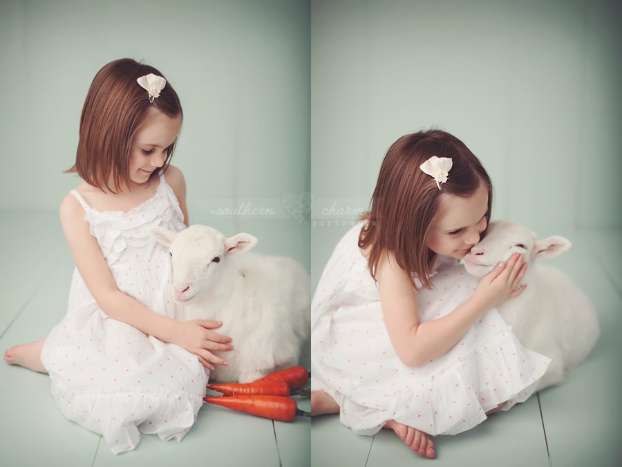 knoxville tn photographers