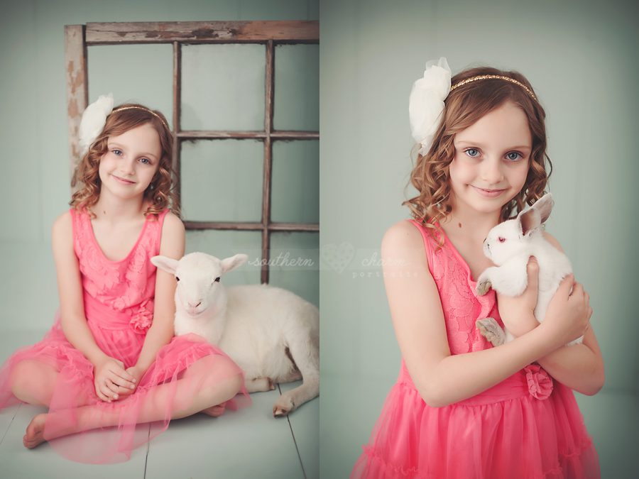 best photographer in knoxville, tn