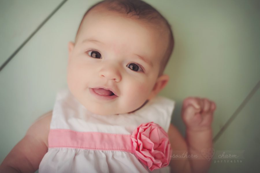 baby photographer knoxville tn