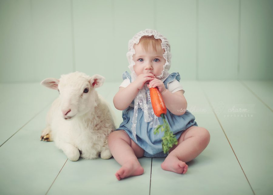 modern portrait studio knoxville, tn