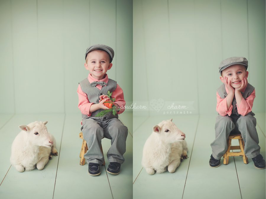 knoxville tn baby photographer