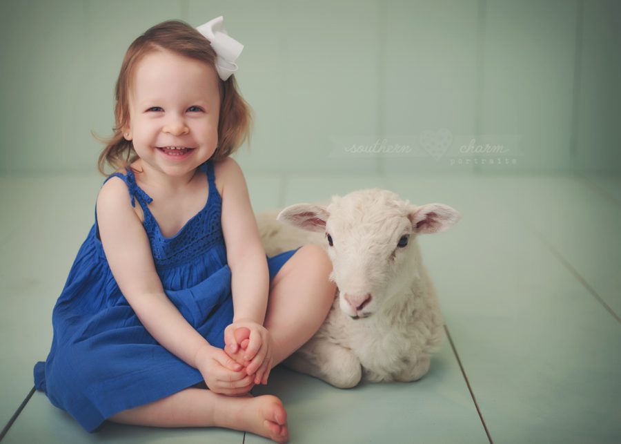 modern portrait studio knoxville, tn