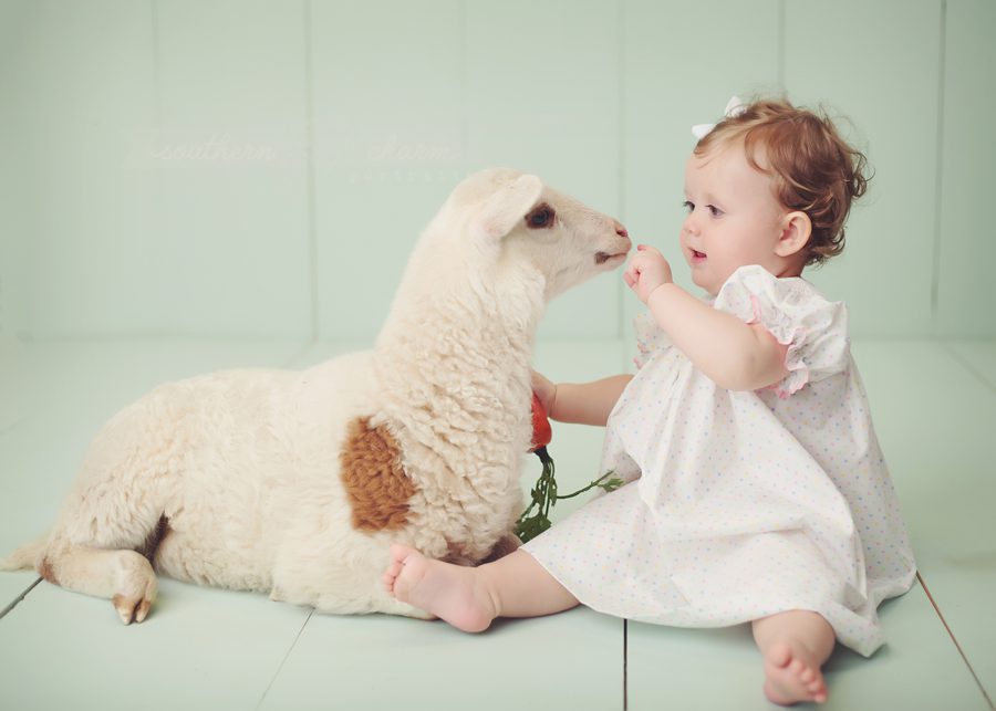 knoxville tn portraits for babies