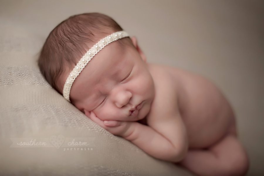 newborn tn newborn portraits